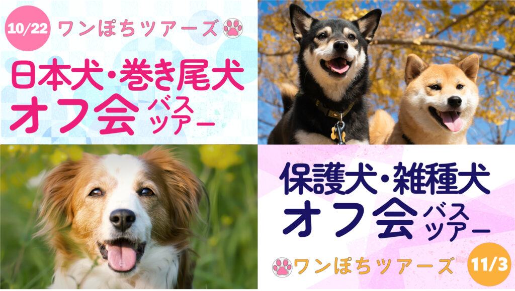 ワンちゃんが主役のペットツアー ワンぽちツアーズ 房総マザー牧場などを巡る 犬種限定オフ会バスツアーの開催決定 9月7日より予約受付開始 プレスルーム 国際自動車株式会社
